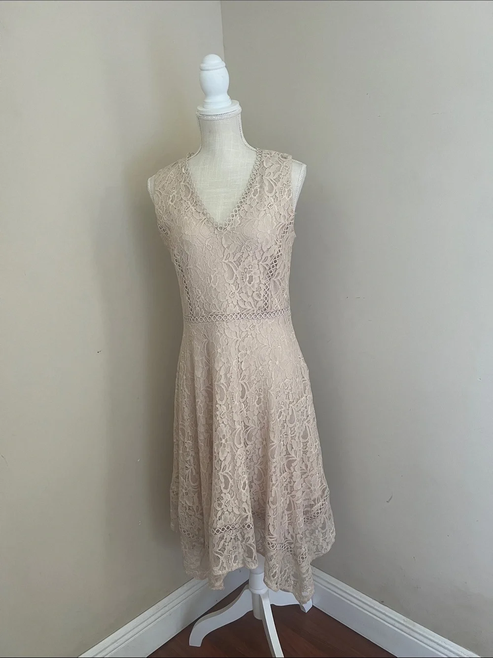 Taylor by Anthropologie Sleeveless Lace V-Neck Midi Dress in Nude